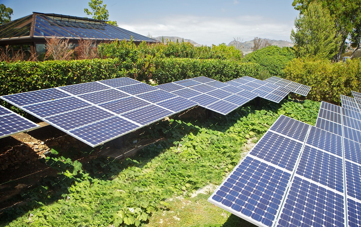 greenhouse solar field