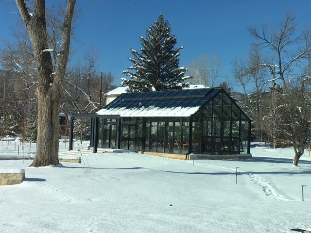 winter greenhouse