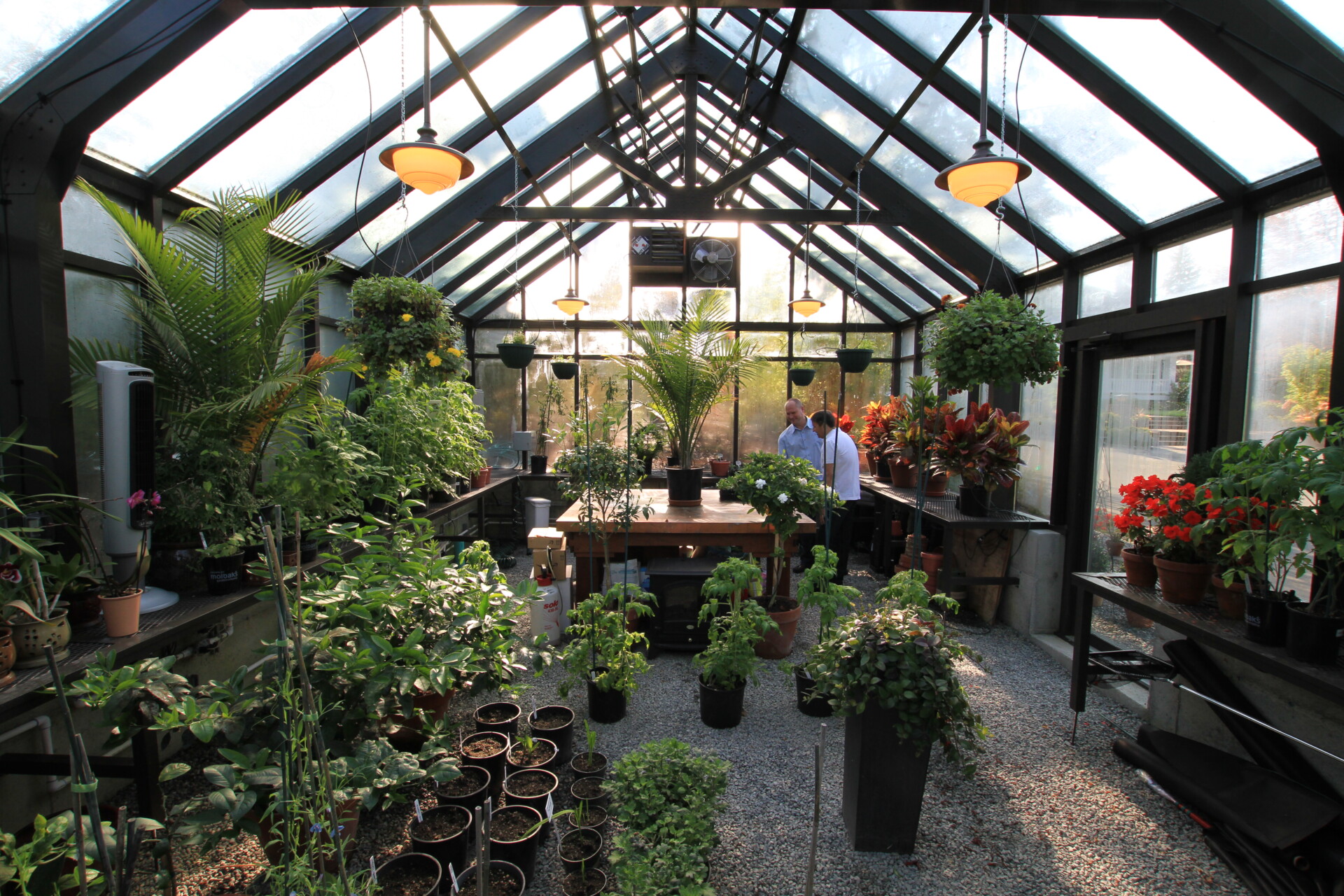 seattle greenhouse